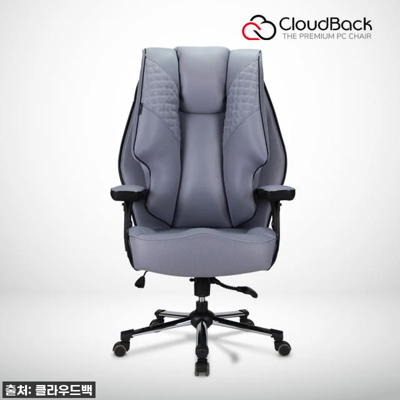 찐후기! 품절대란 예상! 구름 위에 앉은 듯한 클라우드백 T500MQ 메쉬 의자, 진짜가 나타났다! 13 찐후기! 품절대란 예상! 구름 위에 관련 이미지 3