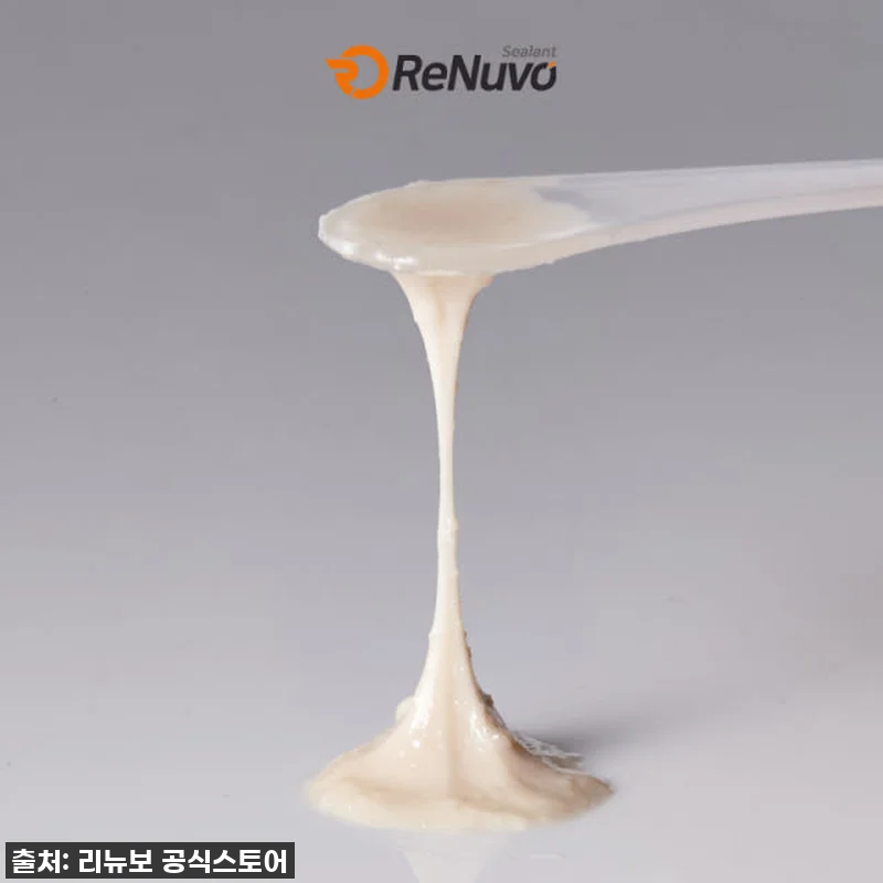 리뉴보 자전거 실란트 튜브리스 로드 관련 이미지 3