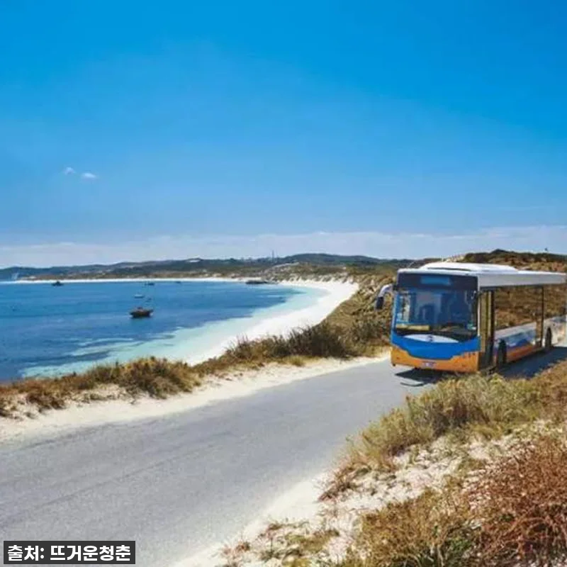 이건 무조건 사야 해! 찐후기: 호주 관련 이미지 3