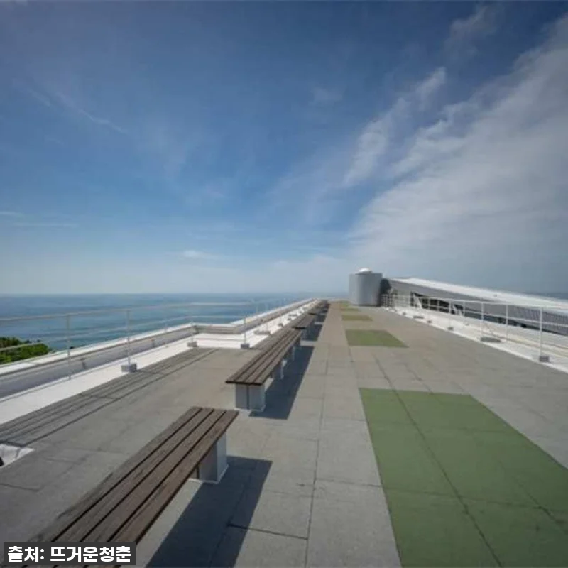 고치 여행 필수템! 사카모토 료마 기 관련 이미지 3