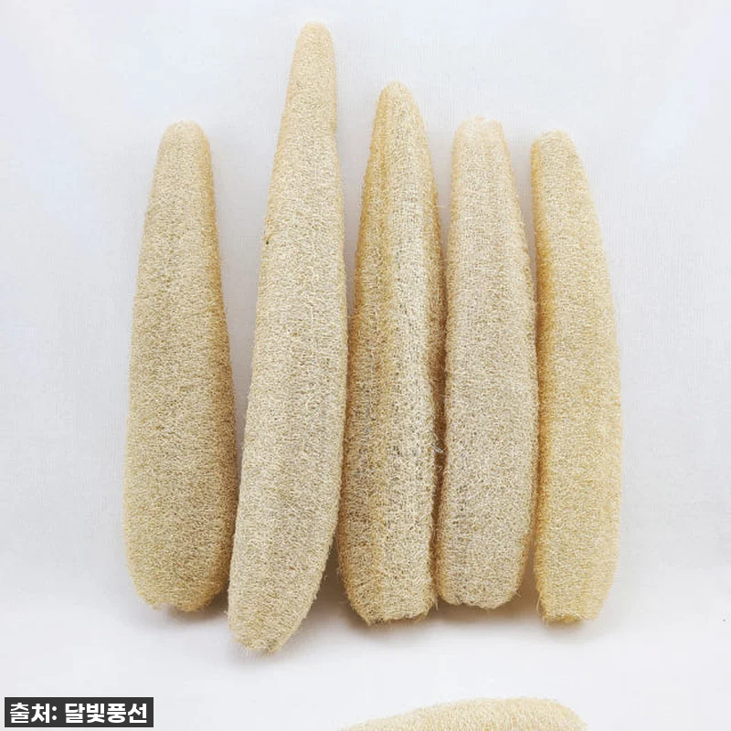 진짜 이 크기 실화?! 메가천연수세미로 주방 설거지 혁명 일으킨 찐후기! ✨ (feat. 환경 지킴이 등극!) 10 진짜 이 크기 실화?! 메가천연수세미 관련 이미지 3