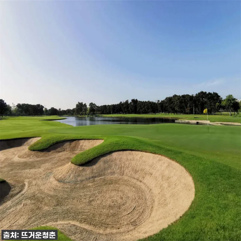 이슈템! 태국 방콕 타나시티 컨트리클럽 골프체험 찐후기 | 이 가격에 이런 코스? 놓치면 후회할 걸요! 11 이슈템! 태국 방콕 타나시티 컨트리클 관련 이미지 3