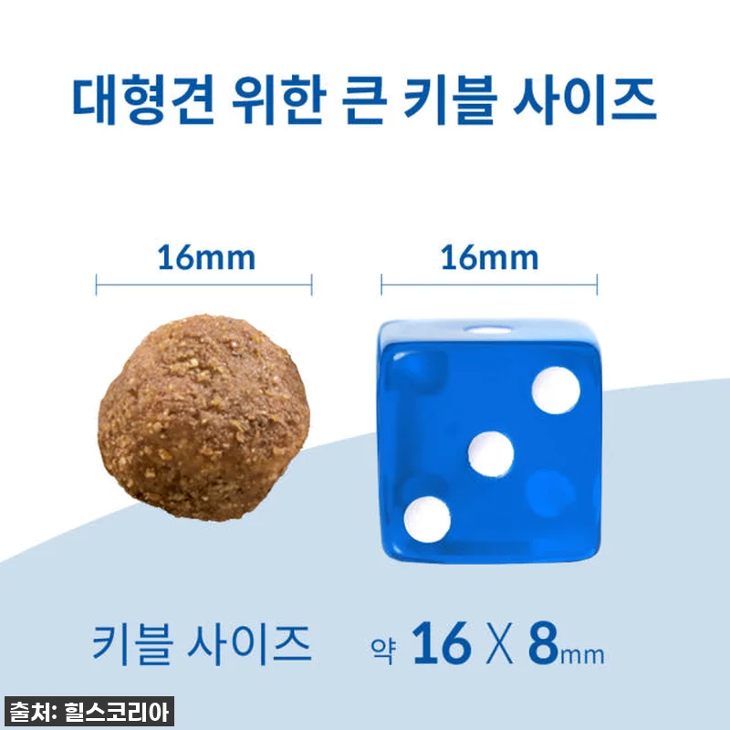우리집 대형견 노견 사료 유목민, 드 관련 이미지 3