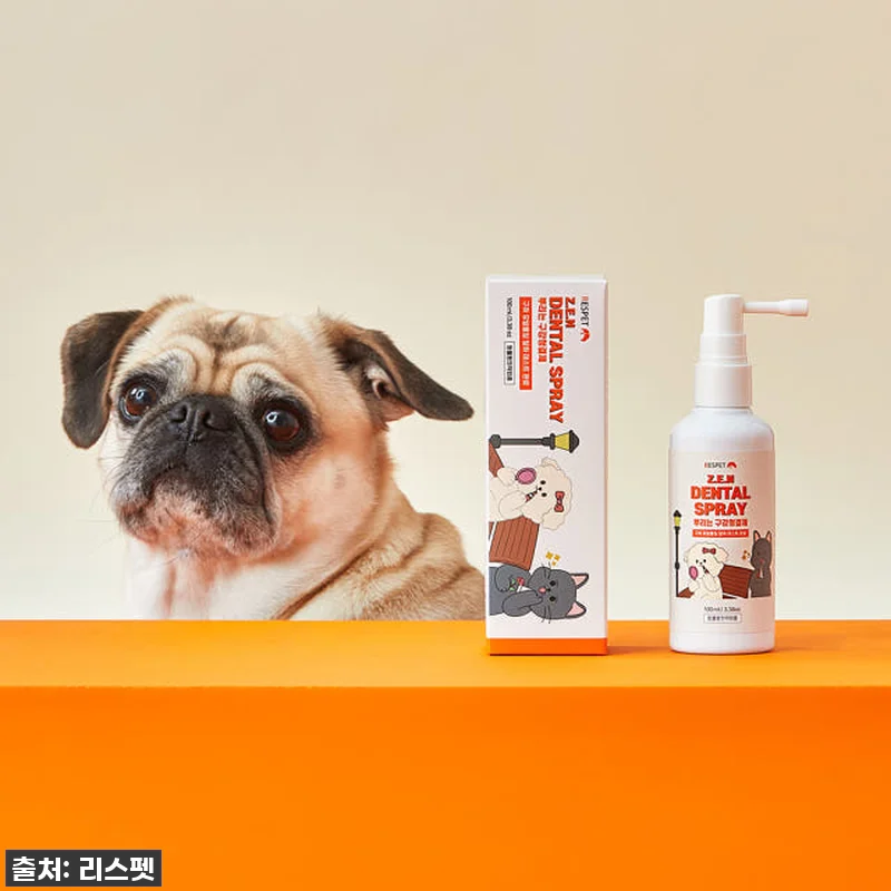 이슈템 떴다! 강아지 고양이 입냄새 관련 이미지 4