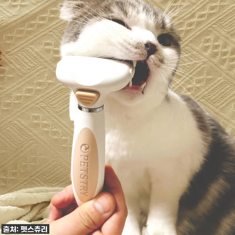 찐후기: 털갈이 지옥에서 탈출! 펫스 관련 이미지 3