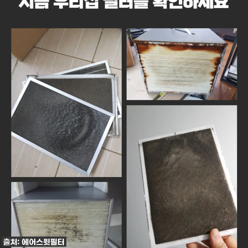 우리집 공기청정기 따로 필요 없어? 관련 이미지 4