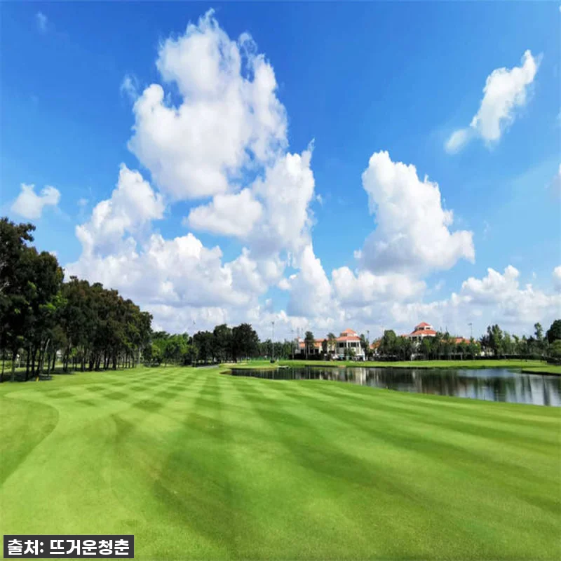이슈템! 태국 방콕 타나시티 컨트리클럽 골프체험 찐후기 | 이 가격에 이런 코스? 놓치면 후회할 걸요! 12 이슈템! 태국 방콕 타나시티 컨트리클 관련 이미지 4