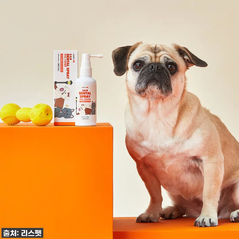 이슈템 떴다! 강아지 고양이 입냄새 관련 이미지 5