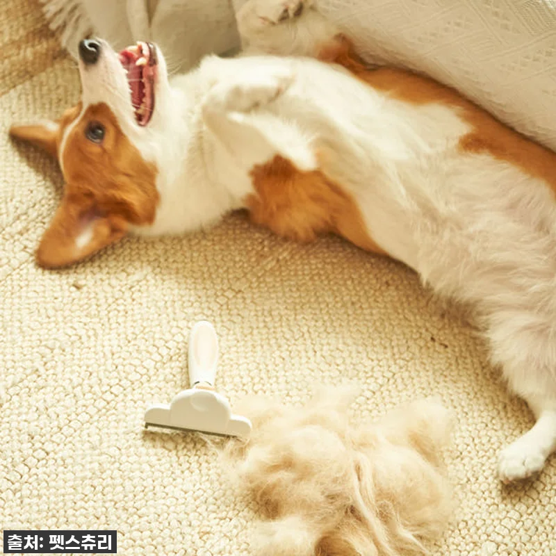 찐후기: 털갈이 지옥에서 탈출! 펫스 관련 이미지 4