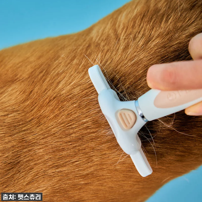 찐후기: 털갈이 지옥에서 탈출! 펫스 관련 이미지 5