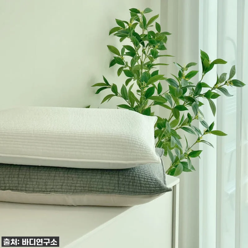 솔직히 이건 사야 해! 바디연구소 스 관련 이미지 5