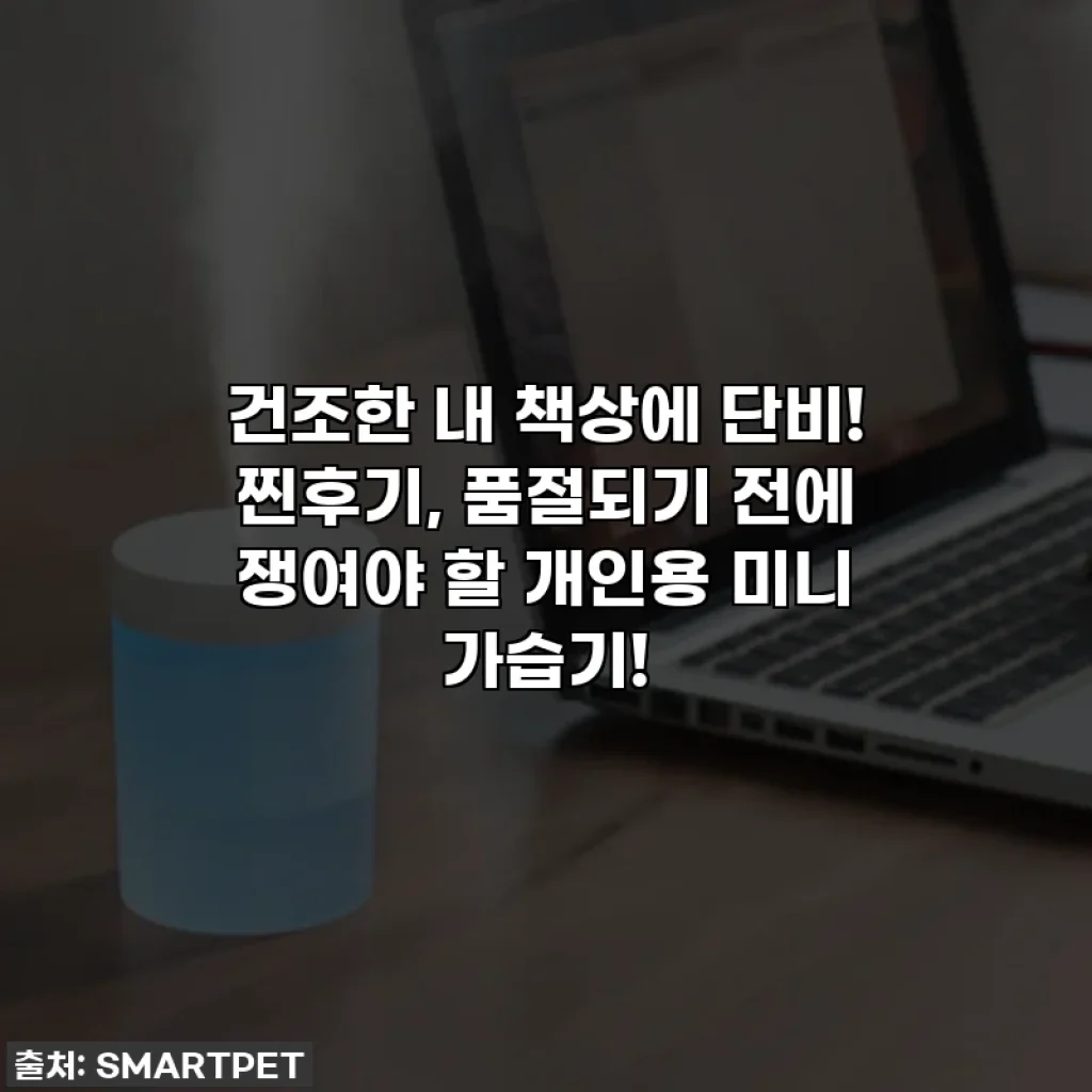 건조한 내 책상에 단비! 찐후기, 품절되기 전에 쟁여야 할 개인용 미니 가습기!