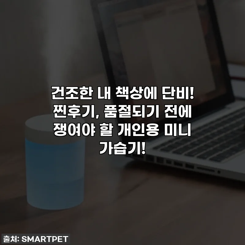 건조한 내 책상에 단비! 찐후기, 품절되기 전에 쟁여야 할 개인용 미니 가습기!