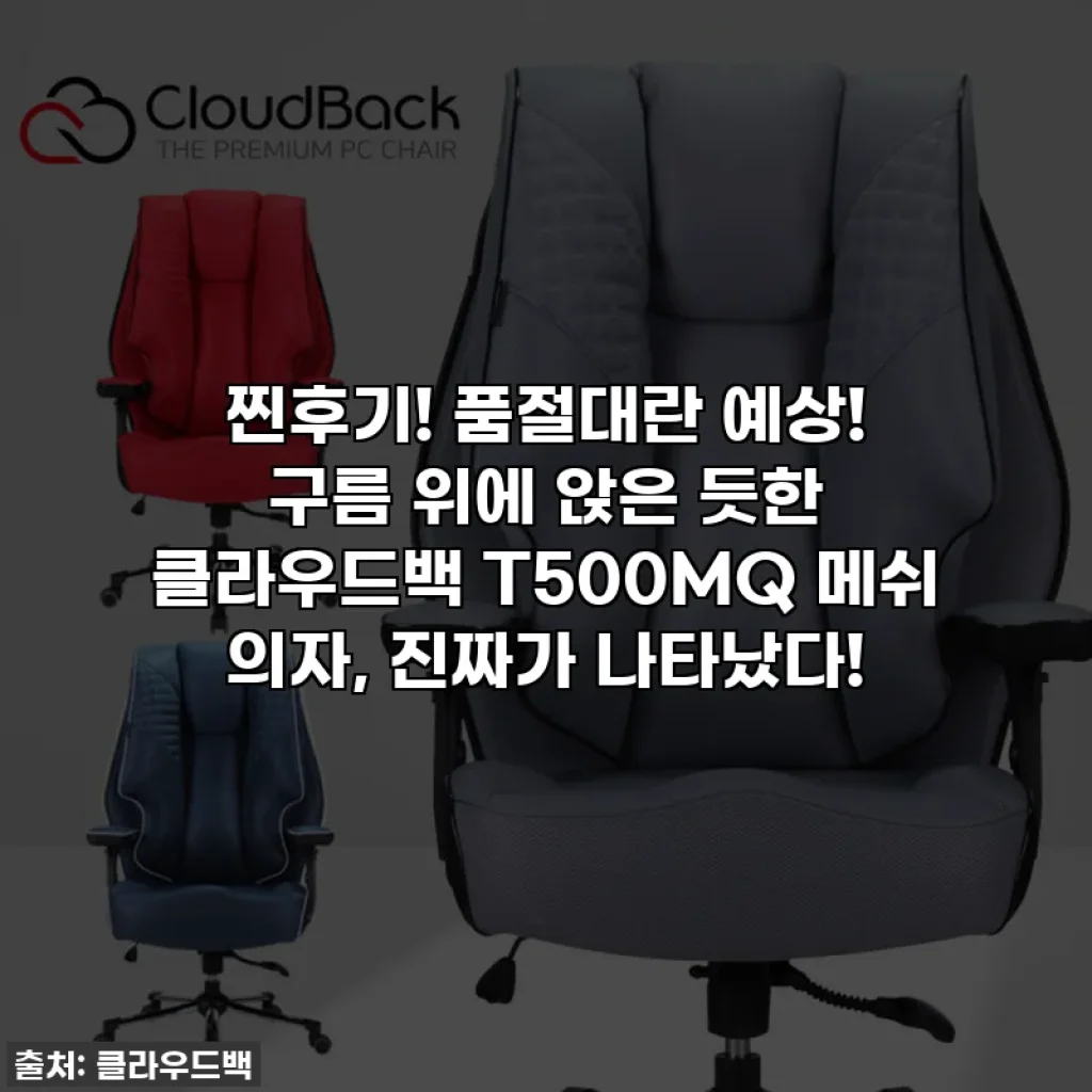 찐후기! 품절대란 예상! 구름 위에 앉은 듯한 클라우드백 T500MQ 메쉬 의자, 진짜가 나타났다!