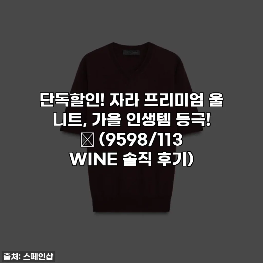 단독할인! 자라 프리미엄 울 니트, 가을 인생템 등극! 🍷 (9598/113 WINE 솔직 후기)