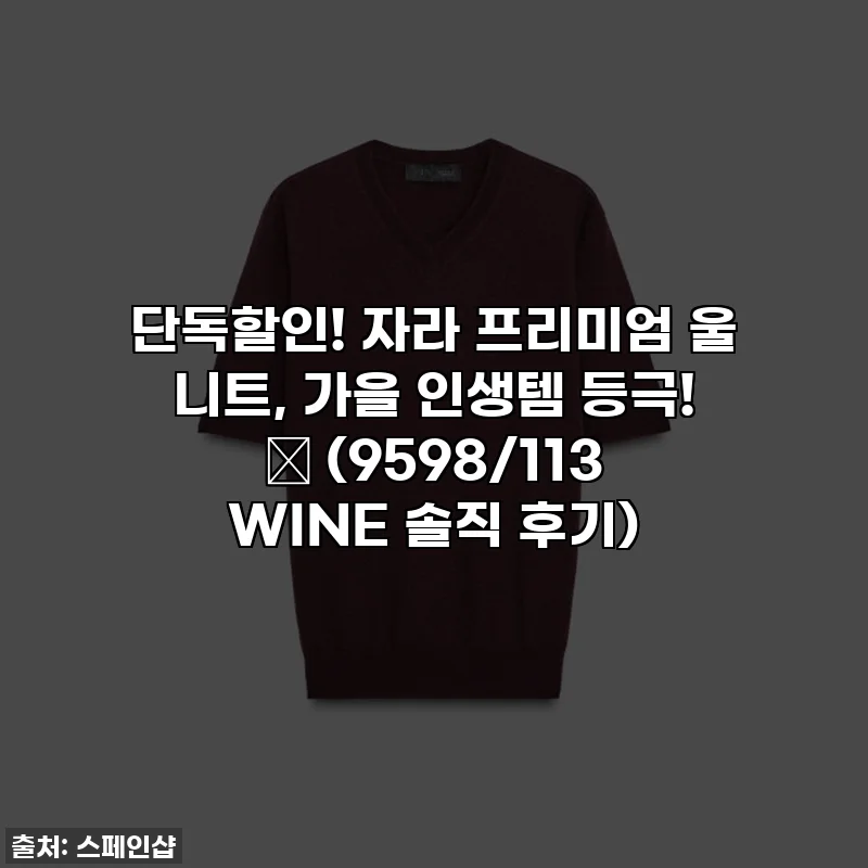 단독할인! 자라 프리미엄 울 니트, 가을 인생템 등극! 🍷 (9598/113 WINE 솔직 후기)