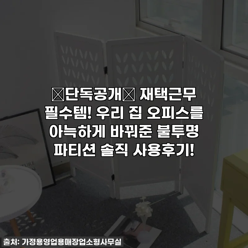 🔥단독공개🔥 재택근무 필수템! 우리 집 오피스를 아늑하게 바꿔준 불투명 파티션 솔직 사용후기!