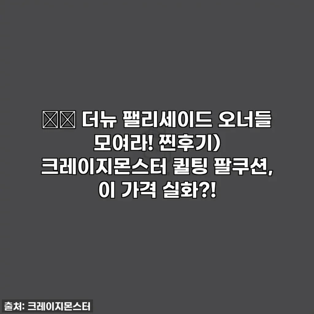 🚗💨 더뉴 팰리세이드 오너들 모여라! 찐후기) 크레이지몬스터 퀼팅 팔쿠션, 이 가격 실화?!