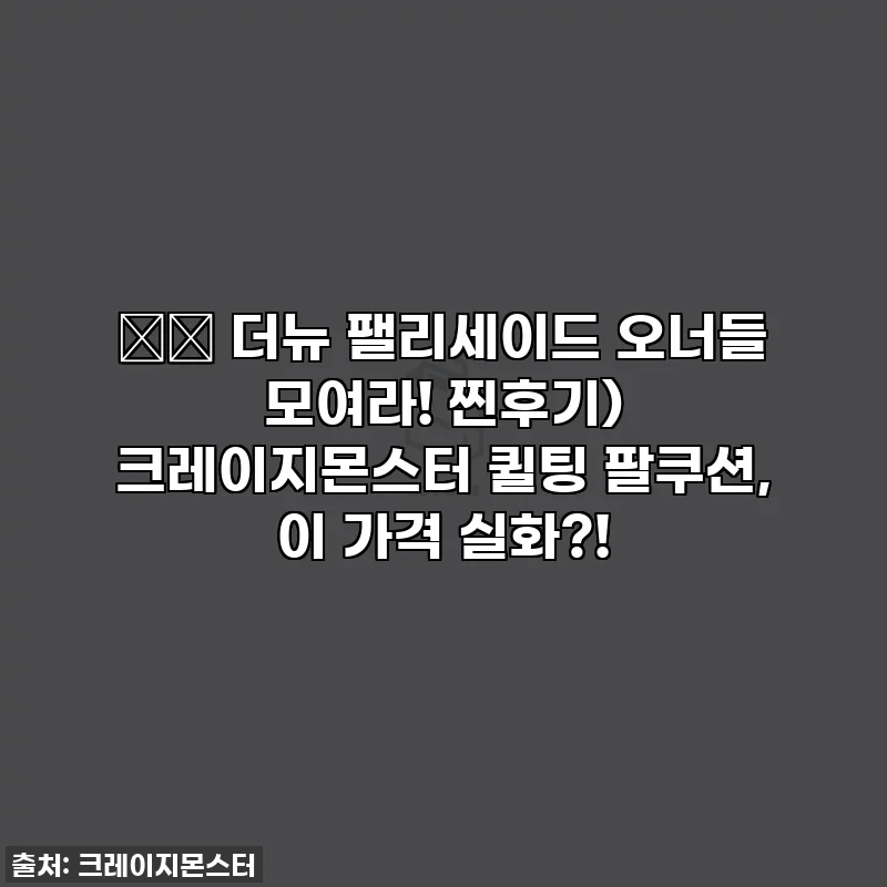 🚗💨 더뉴 팰리세이드 오너들 모여라! 찐후기) 크레이지몬스터 퀼팅 팔쿠션, 이 가격 실화?!