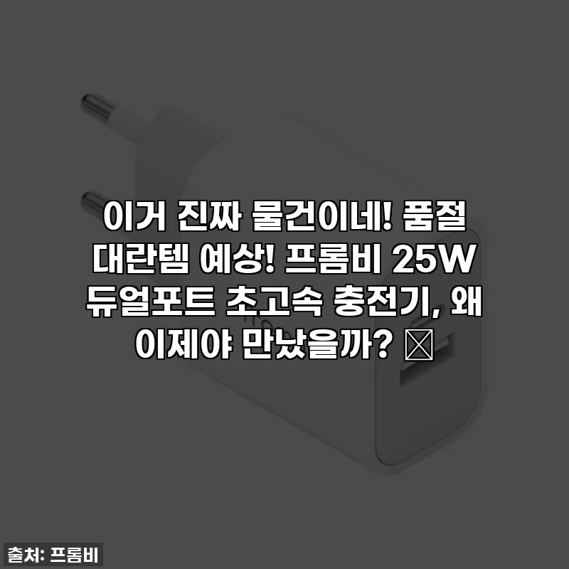 이거 진짜 물건이네! 품절 대란템 예상! 프롬비 25W 듀얼포트 초고속 충전기, 왜 이제야 만났을까? 💖