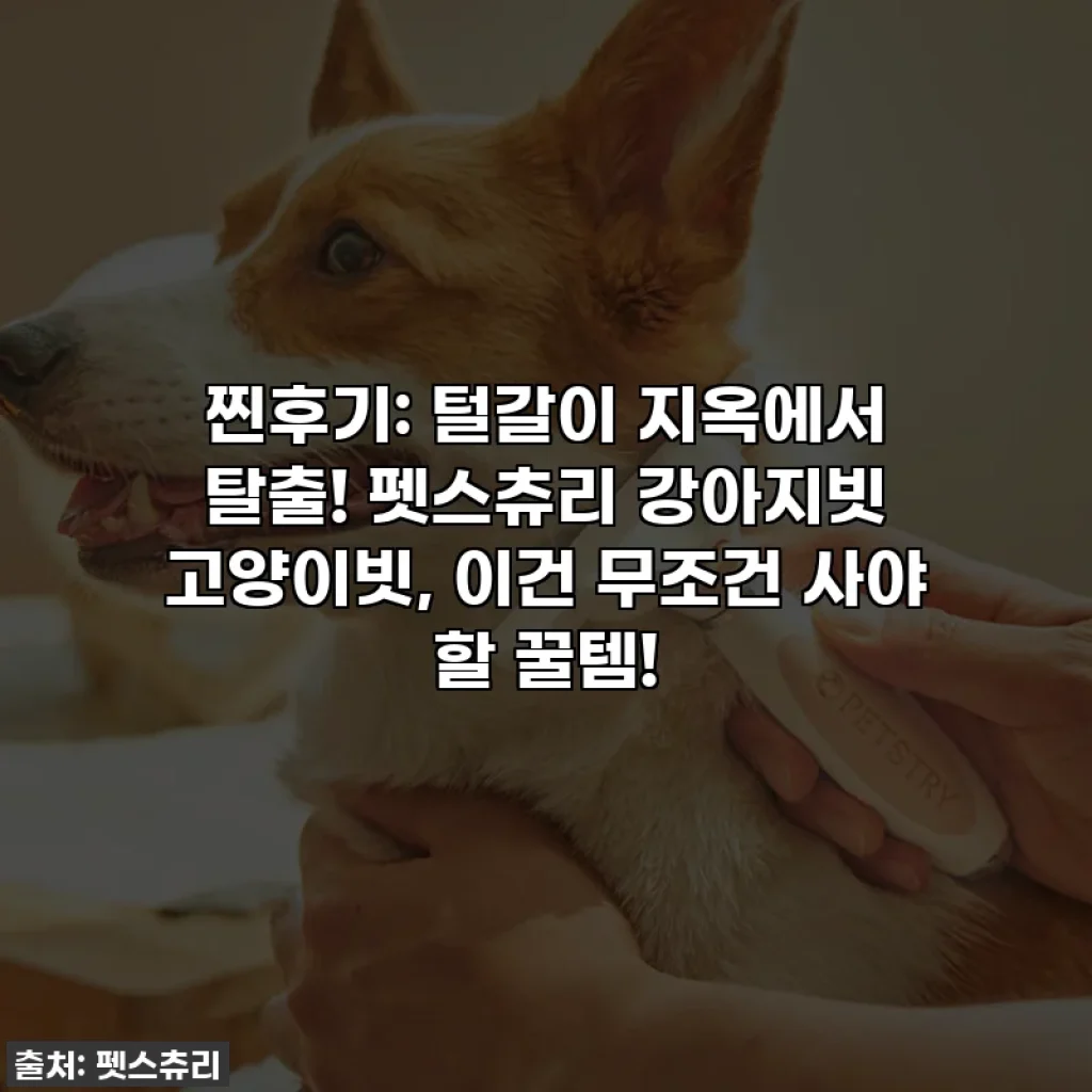 찐후기: 털갈이 지옥에서 탈출! 펫스츄리 강아지빗 고양이빗, 이건 무조건 사야 할 꿀템!