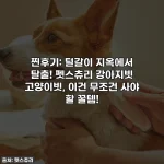 찐후기: 털갈이 지옥에서 탈출! 펫스츄리 강아지빗 고양이빗, 이건 무조건 사야 할 꿀템!