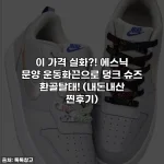 이 가격 실화?! 에스닉 문양 운동화끈으로 덩크 슈즈 환골탈태! (내돈내산 찐후기)