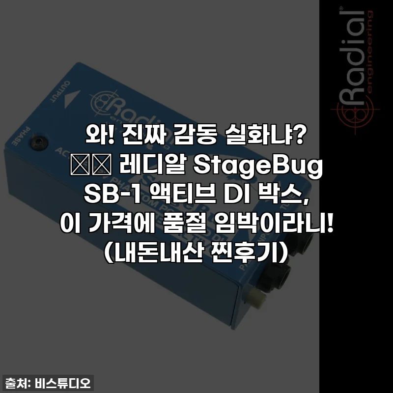 와! 진짜 감동 실화냐? 😩✨ 레디알 StageBug SB-1 액티브 DI 박스, 이 가격에 품절 임박이라니! (내돈내산 찐후기)