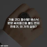가을 코디 필수템! 에스닉 문양 써지컬스틸 볼드 반지 찐후기, 이 가격 실화?