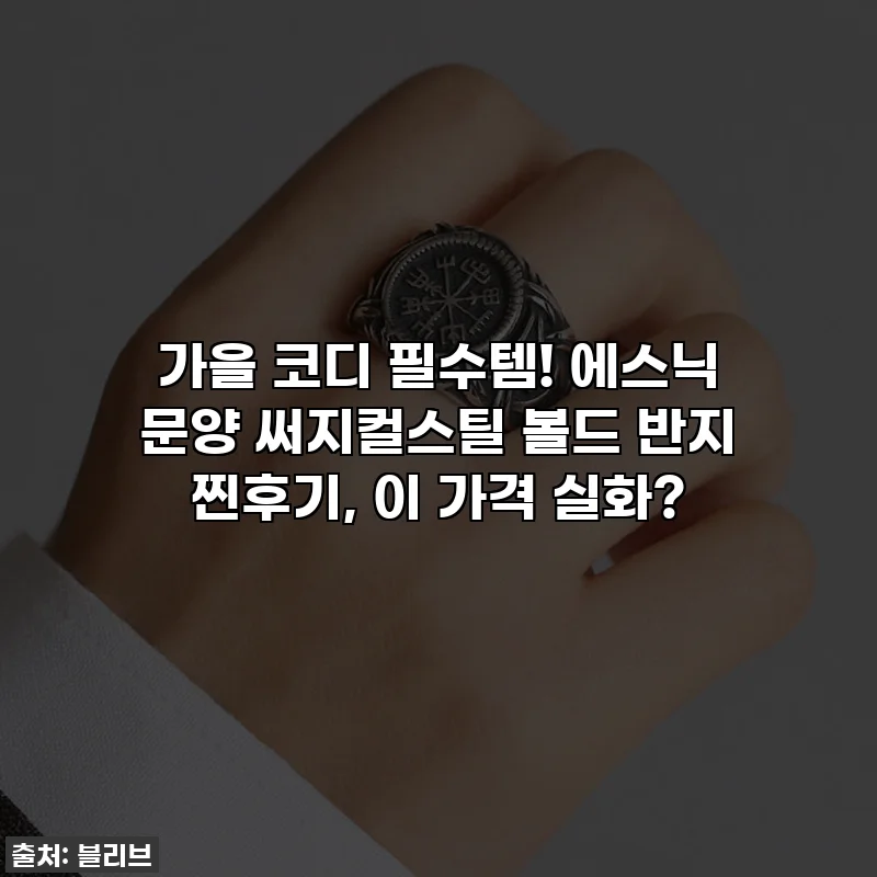 가을 코디 필수템! 에스닉 문양 써지컬스틸 볼드 반지 찐후기, 이 가격 실화?