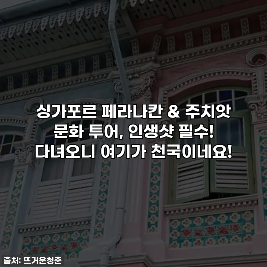 싱가포르 페라나칸 & 주치앗 문화 투어, 인생샷 필수! 다녀오니 여기가 천국이네요!