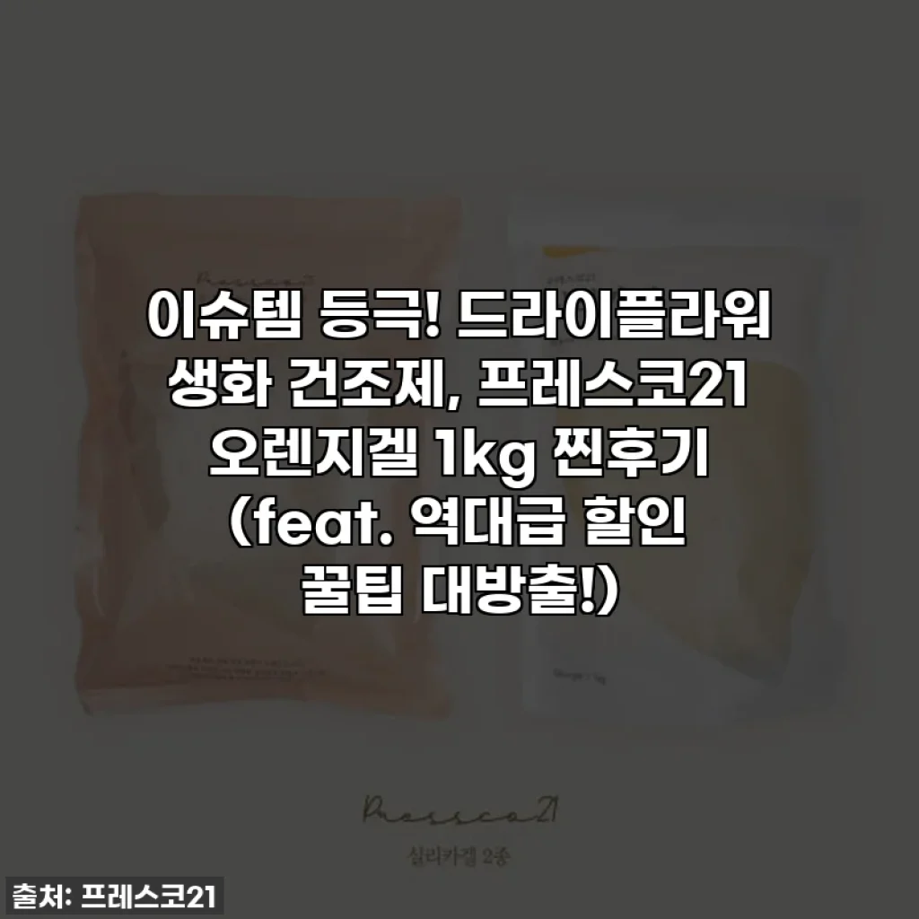 이슈템 등극! 드라이플라워 생화 건조제, 프레스코21 오렌지겔 1kg 찐후기 (feat. 역대급 할인 꿀팁 대방출!)