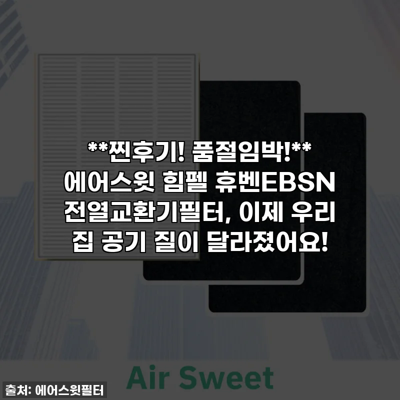 **찐후기! 품절임박!** 에어스윗 힘펠 휴벤EBSN 전열교환기필터, 이제 우리 집 공기 질이 달라졌어요!