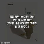품절임박! 아이랑 같이 보면서 깜짝 놀란 [고래의숲] 세계문학그림책 변신 찐후기!