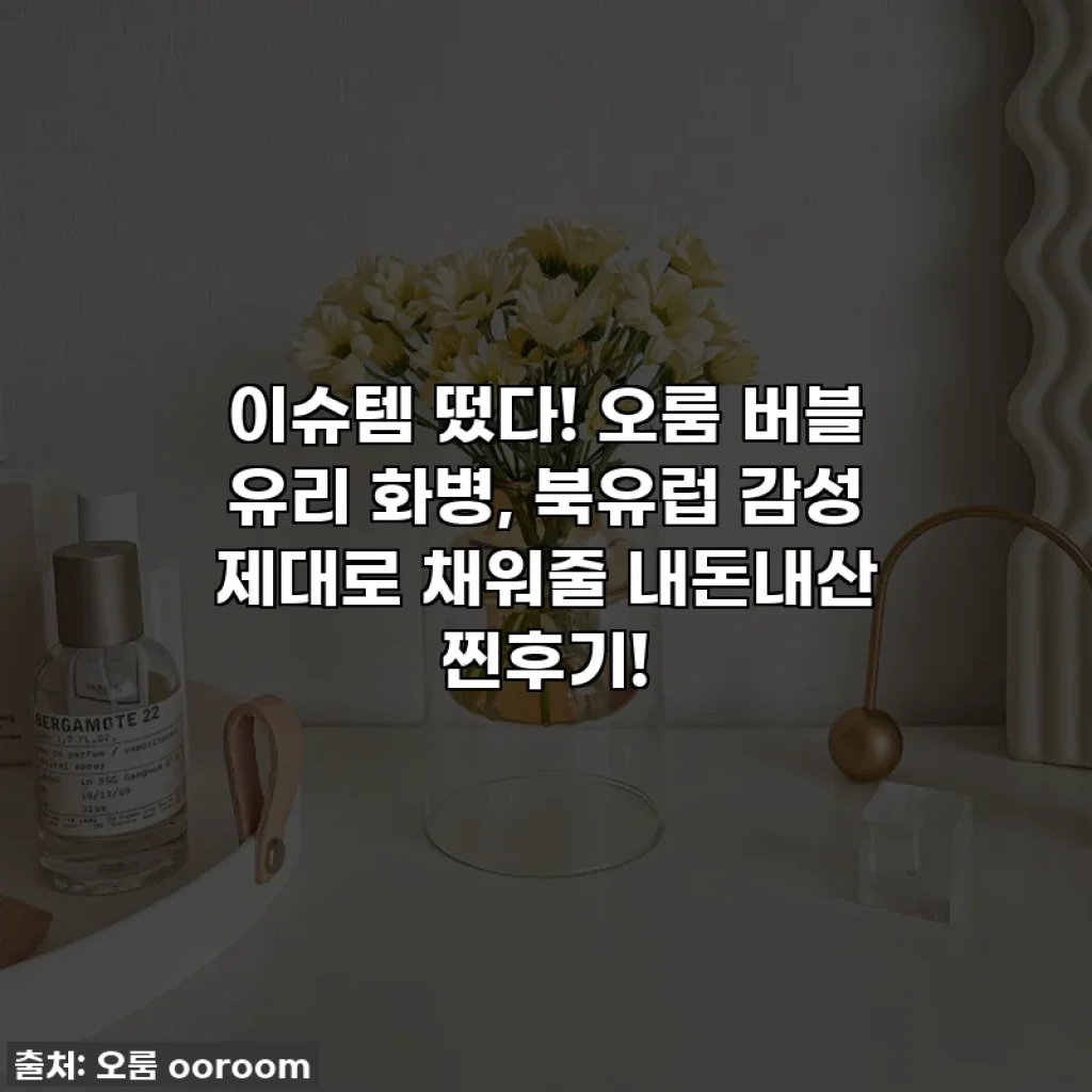 이슈템 떴다! 오룸 버블 유리 화병, 북유럽 감성 제대로 채워줄 내돈내산 찐후기!
