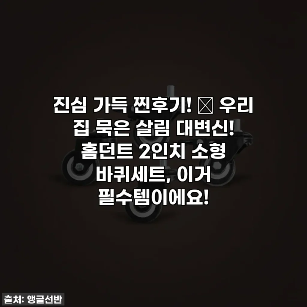 진심 가득 찐후기! ✨ 우리 집 묵은 살림 대변신! 홈던트 2인치 소형 바퀴세트, 이거 필수템이에요!