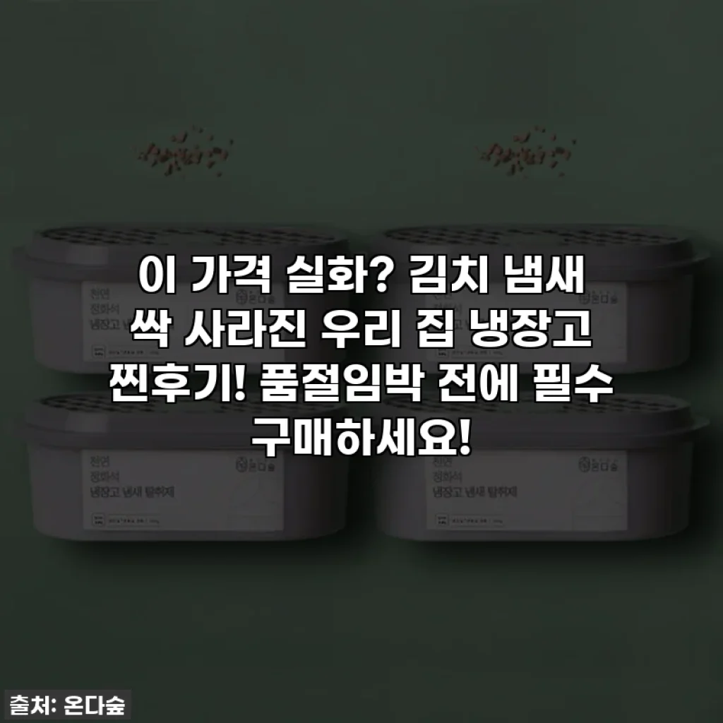 이 가격 실화? 김치 냄새 싹 사라진 우리 집 냉장고 찐후기! 품절임박 전에 필수 구매하세요!