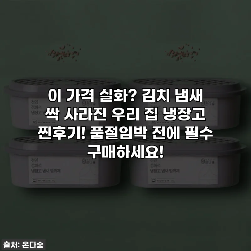 이 가격 실화? 김치 냄새 싹 사라진 우리 집 냉장고 찐후기! 품절임박 전에 필수 구매하세요!