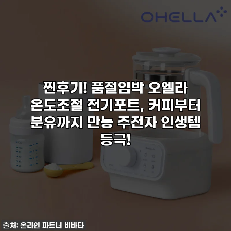 찐후기! 품절임박 오엘라 온도조절 전기포트, 커피부터 분유까지 만능 주전자 인생템 등극!