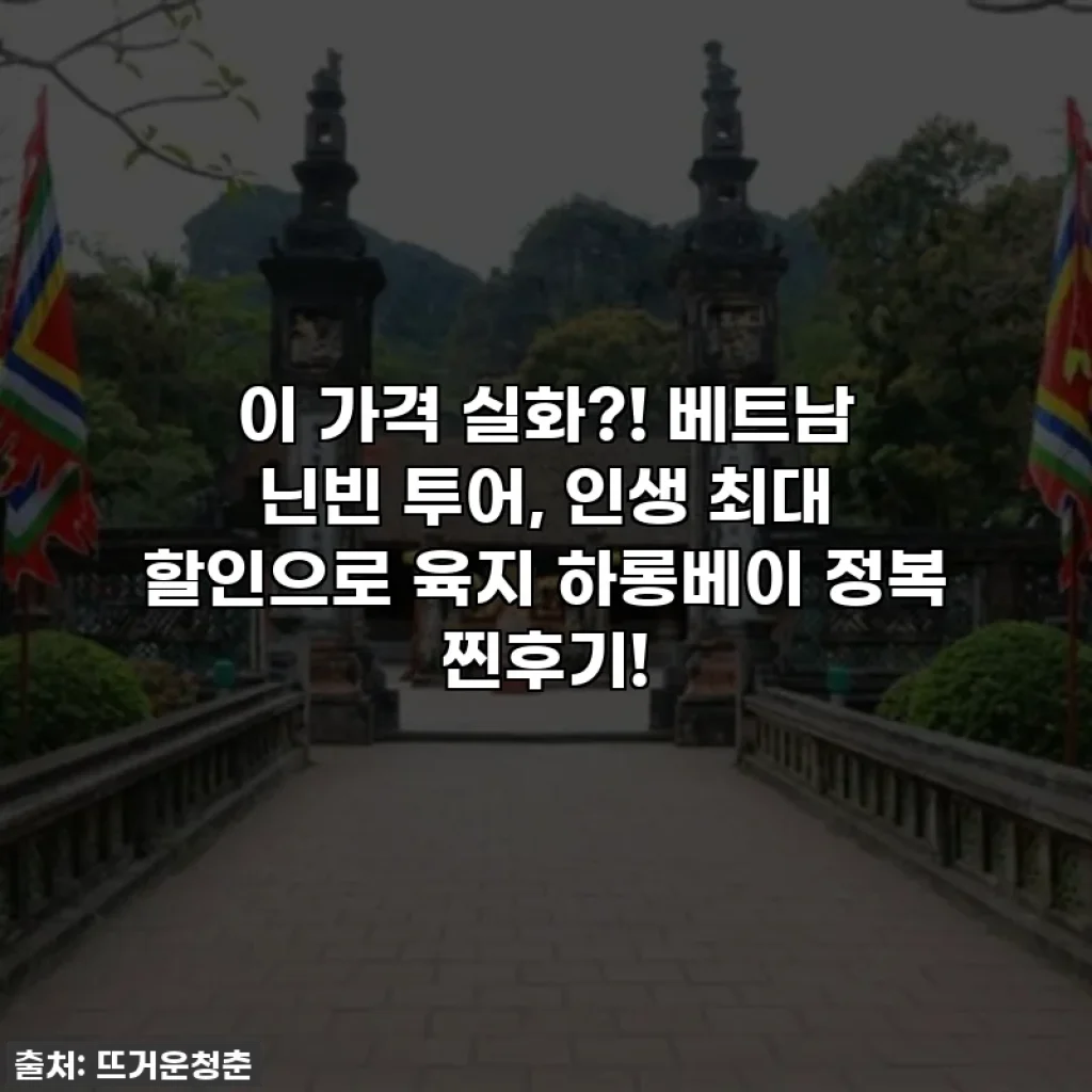 이 가격 실화?! 베트남 닌빈 투어, 인생 최대 할인으로 육지 하롱베이 정복 찐후기!
