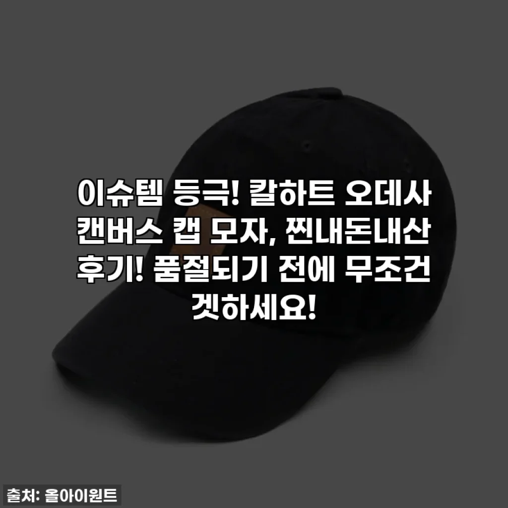 이슈템 등극! 칼하트 오데사 캔버스 캡 모자, 찐내돈내산 후기! 품절되기 전에 무조건 겟하세요!