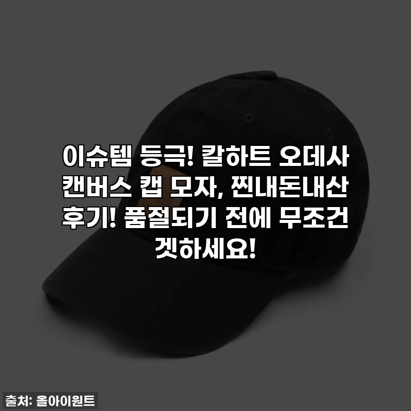 이슈템 등극! 칼하트 오데사 캔버스 캡 모자, 찐내돈내산 후기! 품절되기 전에 무조건 겟하세요!
