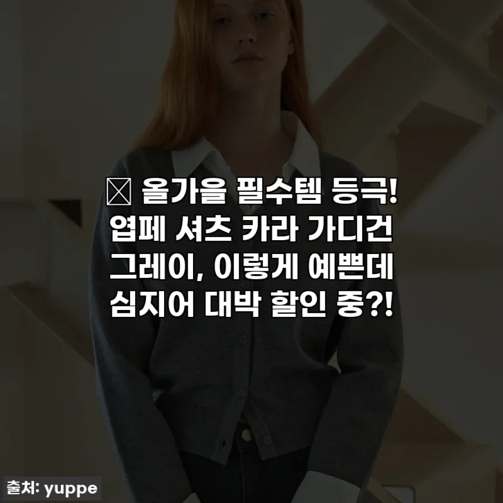 🍂 올가을 필수템 등극! 엽페 셔츠 카라 가디건 그레이, 이렇게 예쁜데 심지어 대박 할인 중?!