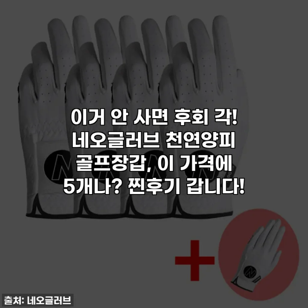 이거 안 사면 후회 각! 네오글러브 천연양피 골프장갑, 이 가격에 5개나? 찐후기 갑니다!