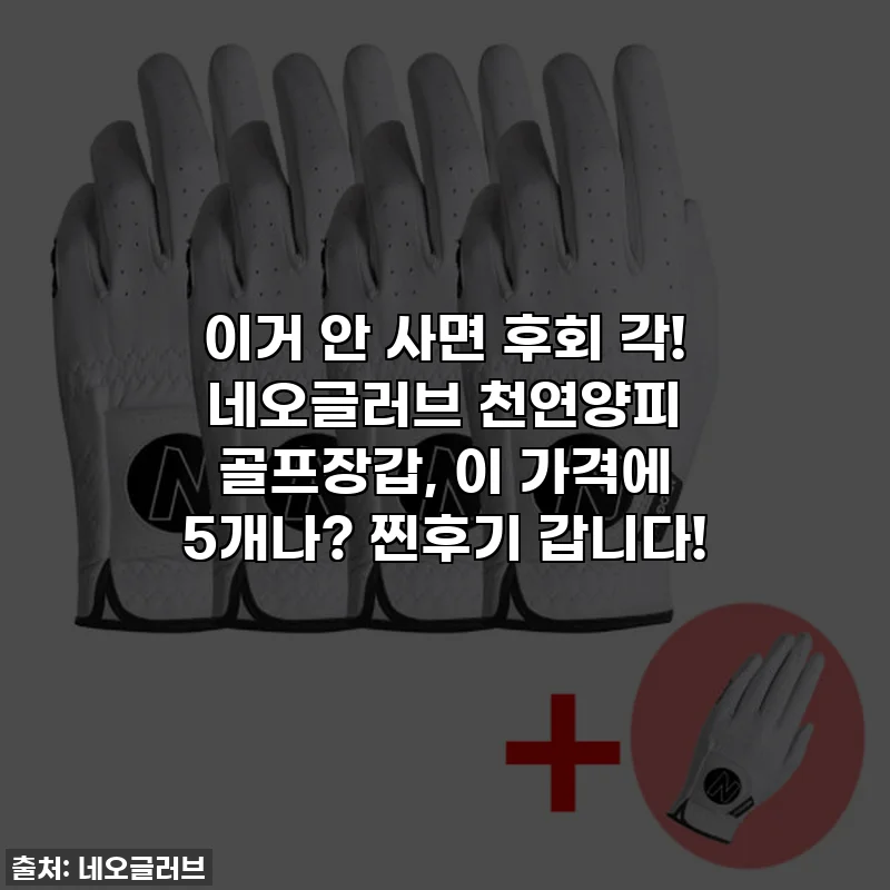 이거 안 사면 후회 각! 네오글러브 천연양피 골프장갑, 이 가격에 5개나? 찐후기 갑니다!