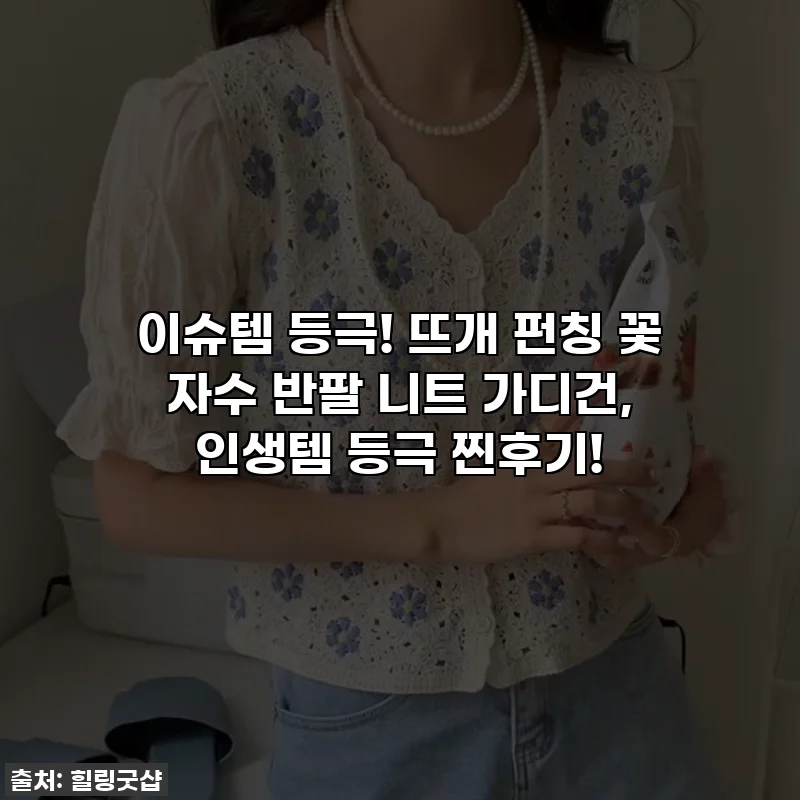 이슈템 등극! 뜨개 펀칭 꽃 자수 반팔 니트 가디건, 인생템 등극 찐후기!