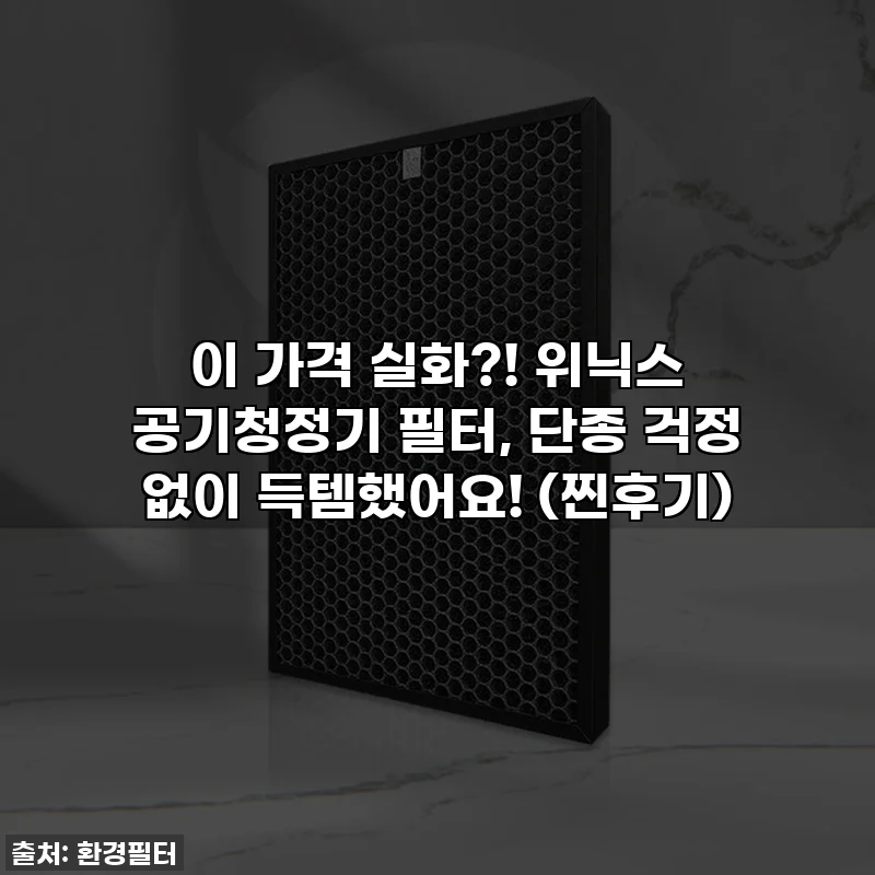 이 가격 실화?! 위닉스 공기청정기 필터, 단종 걱정 없이 득템했어요! (찐후기)
