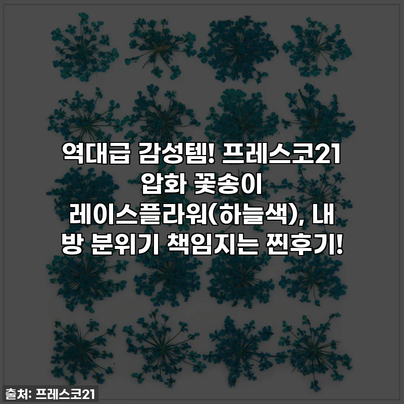 역대급 감성템! 프레스코21 압화 꽃송이 레이스플라워(하늘색), 내 방 분위기 책임지는 찐후기!