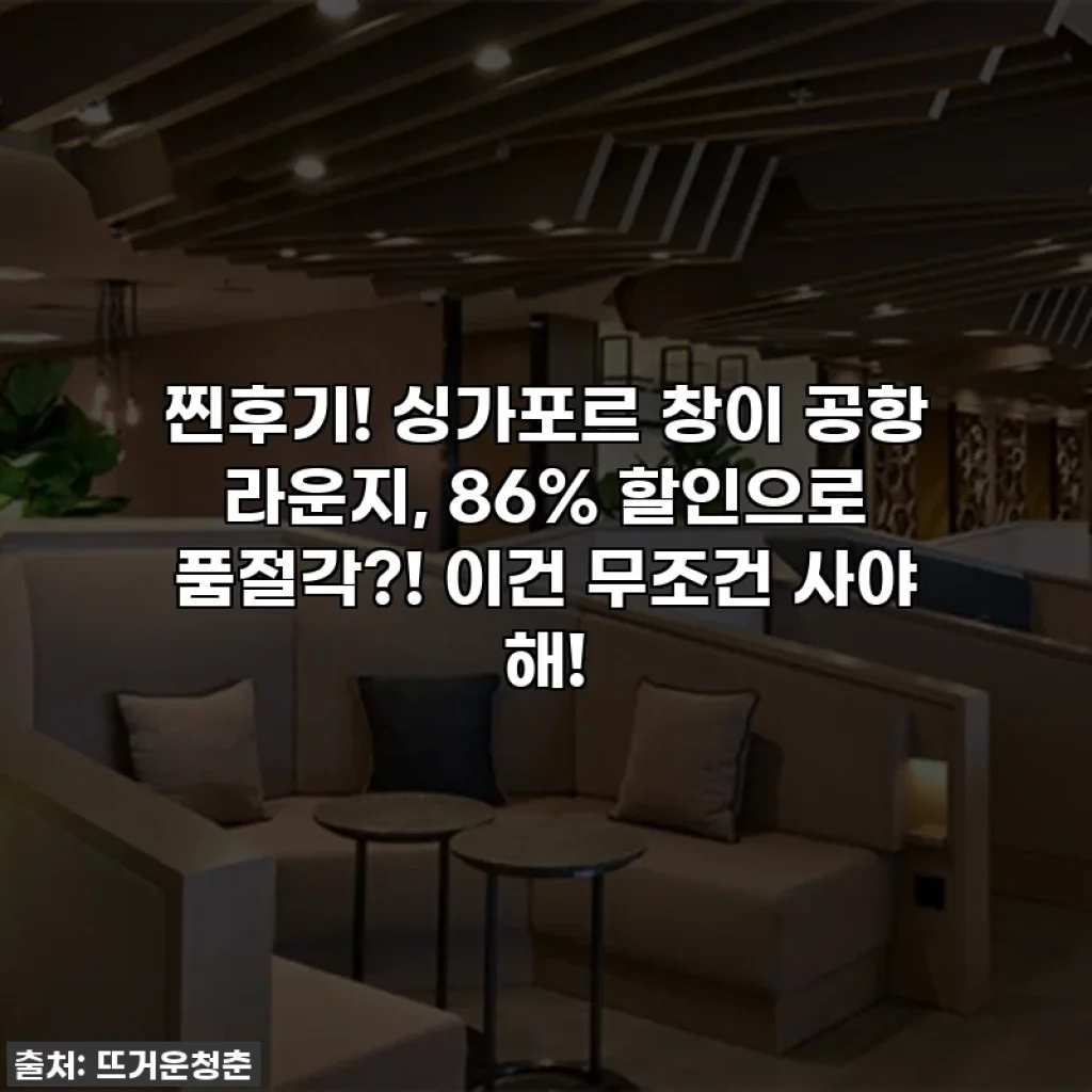 찐후기! 싱가포르 창이 공항 라운지, 86% 할인으로 품절각?! 이건 무조건 사야 해!