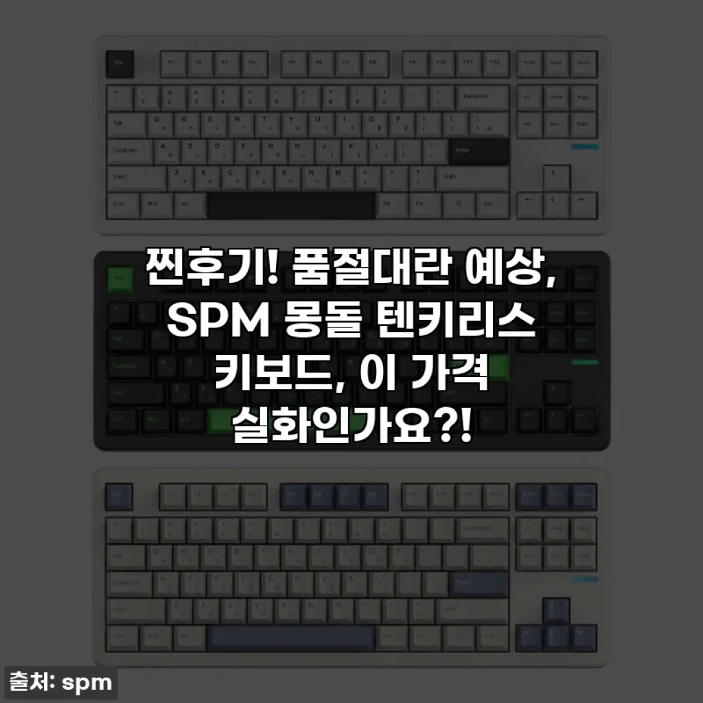 찐후기! 품절대란 예상, SPM 몽돌 텐키리스 키보드, 이 가격 실화인가요?!
